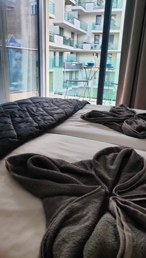 Super Cozy & Central Apartment 부다페스트 외부 사진