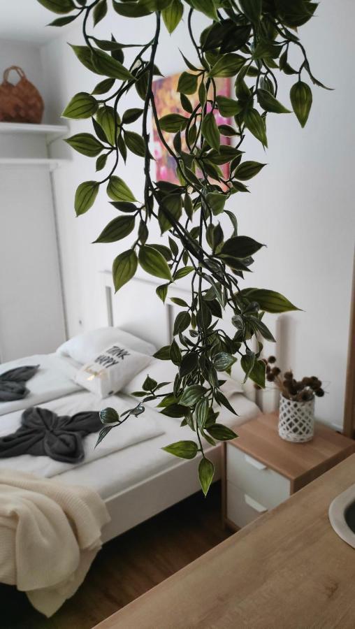 Super Cozy & Central Apartment 부다페스트 외부 사진